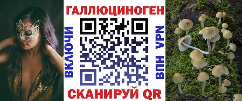 omg tor  Руза  Псилоцибиновые грибы ЛСД 